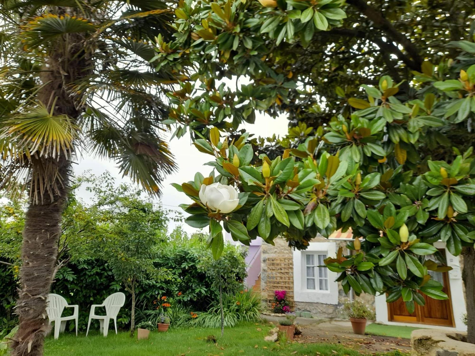 Casamarietacantabria Reocín Exterior foto